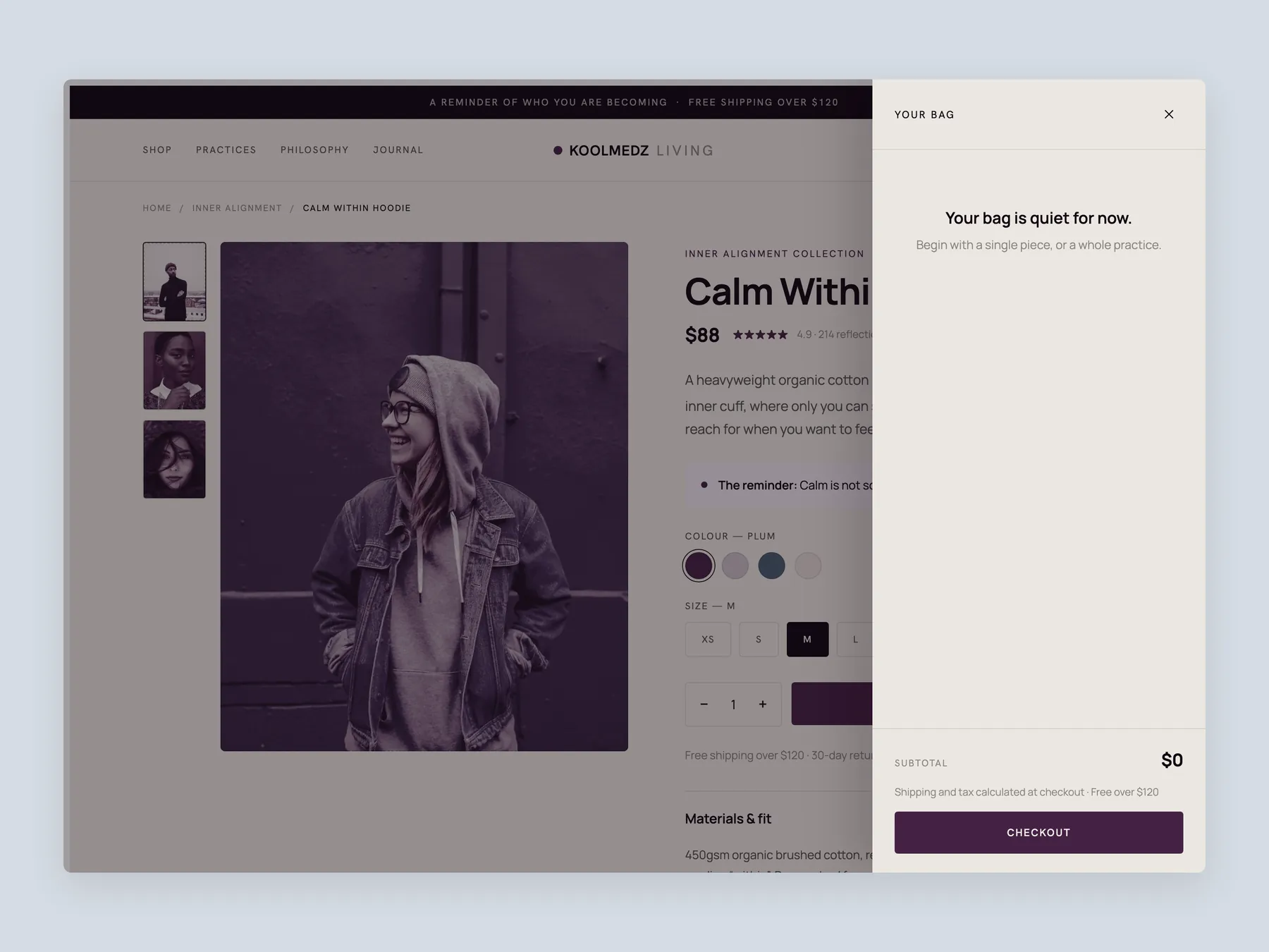 KoolMedz concept redesign: Bag slide over open over the product page, whole screen